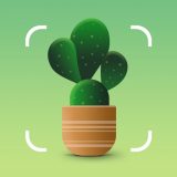 Plantumのアイコン