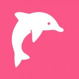 イルカの暗記ノートのアイコン