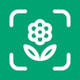 Plantoのアイコン