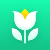 Plant Parentのアイコン