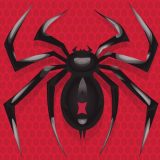 スパイダーソリティアのアイコン